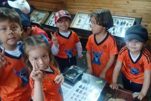 evaluacion-3-periodo